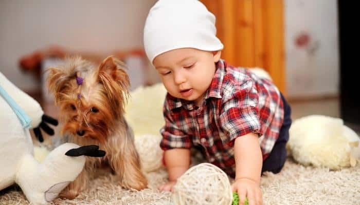 beneficios de ter um cachorro para as crianças