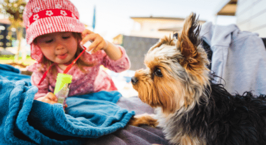 criança e cachorro