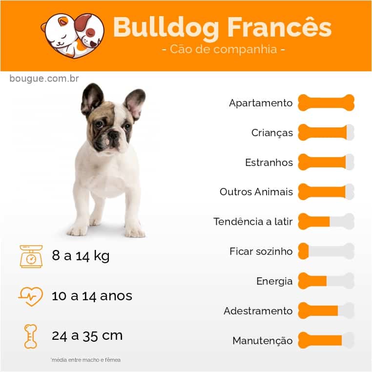personalidade e características do Bulldog Francês