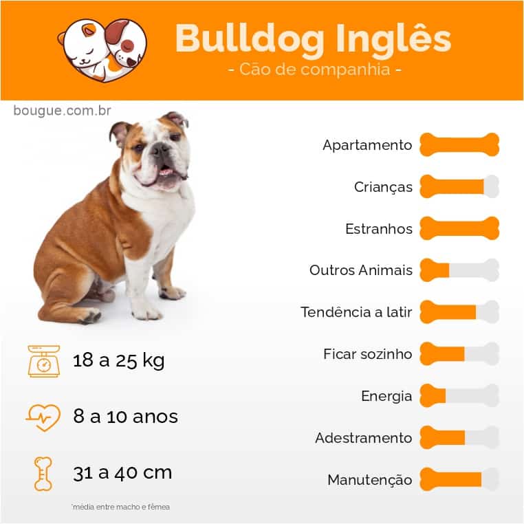 personalidade do Bulldog Inglês