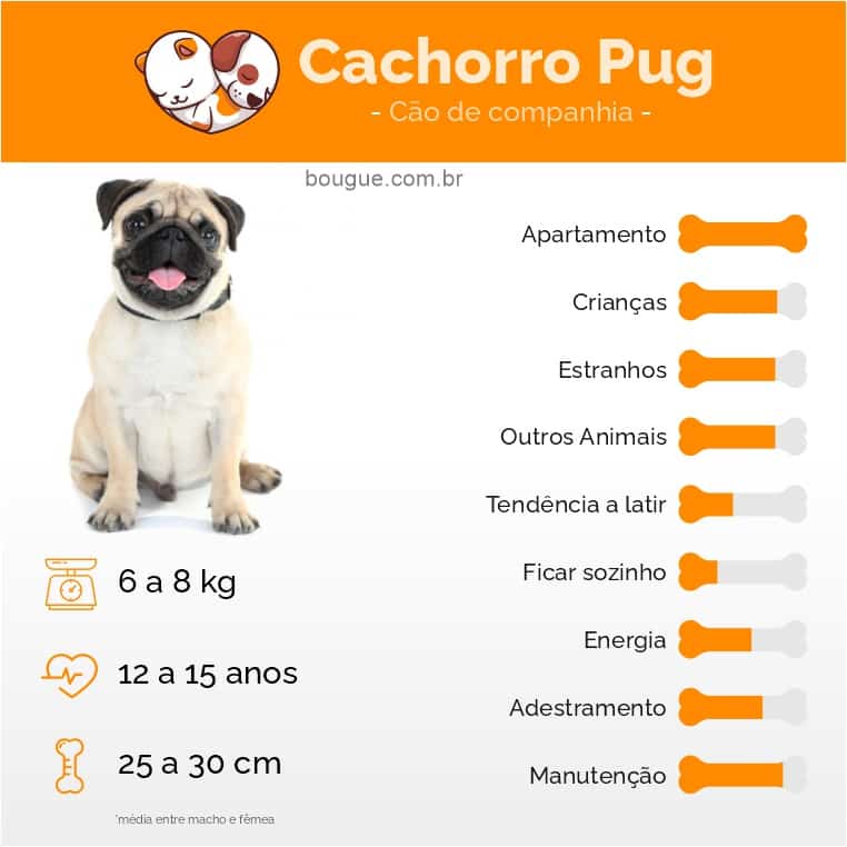 características e personalidade do cachorro Pug