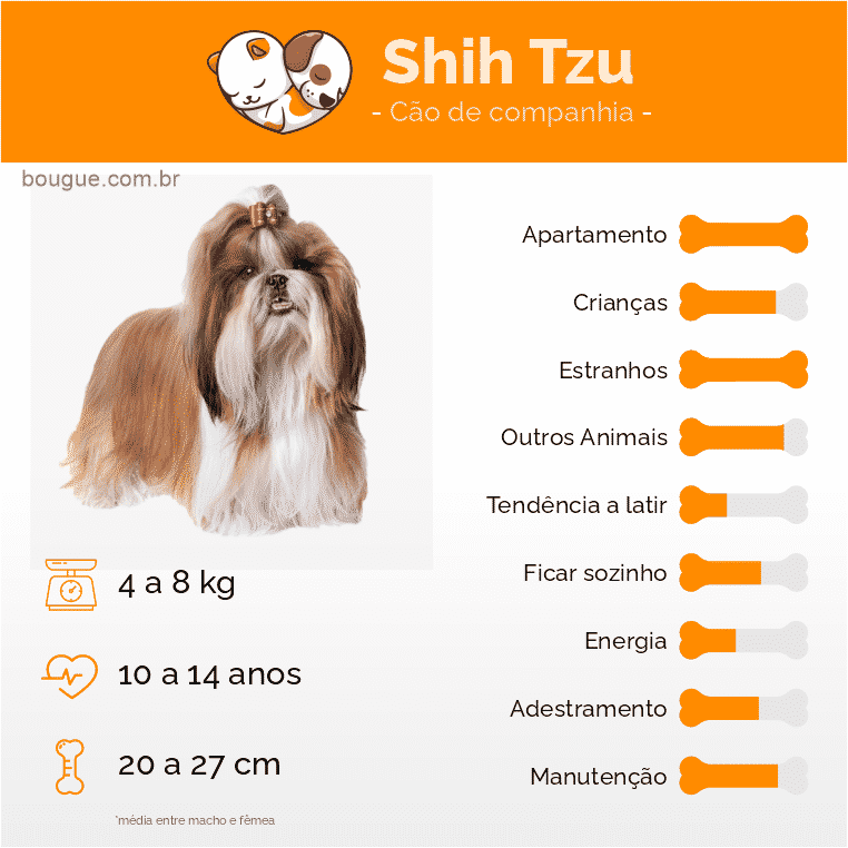personalidade do cão Shih Tzu
