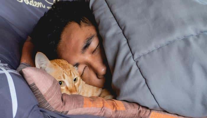 dormir com gato faz mal