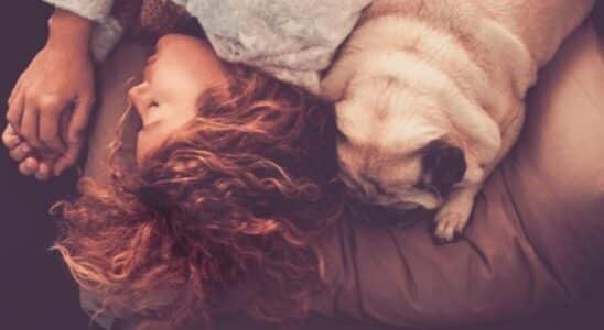 mulhere dormindo com o cachorro