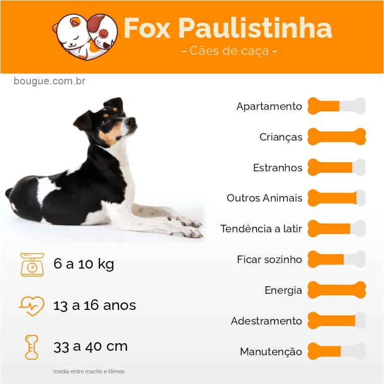 Personalidade do Fox Paulistinha