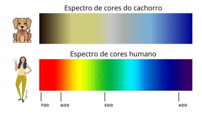 Espectro de cores de como o cachorro enxerga