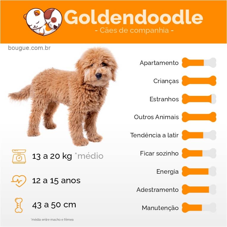 Personalidade do cachorro Goldendoodle