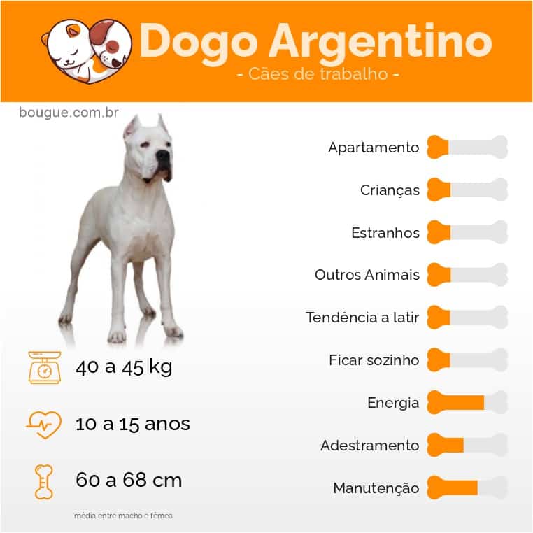 personalidade do cachorro Dogo Argentino 
