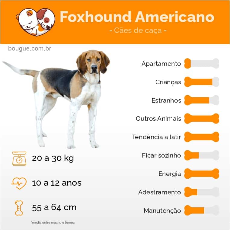 personalidade Foxhound Americano