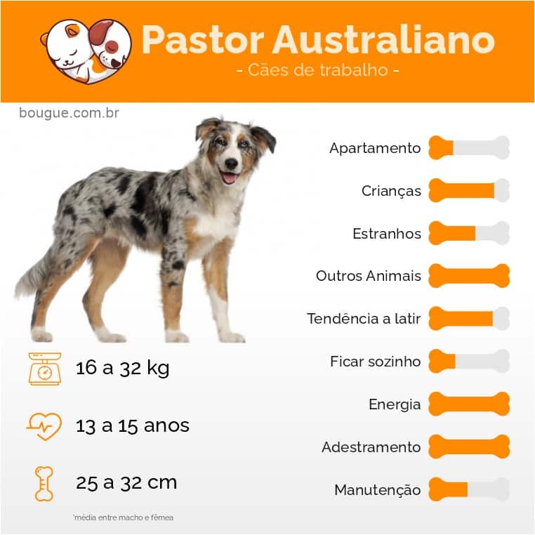 personalidade do cachorro Pastor Australiano